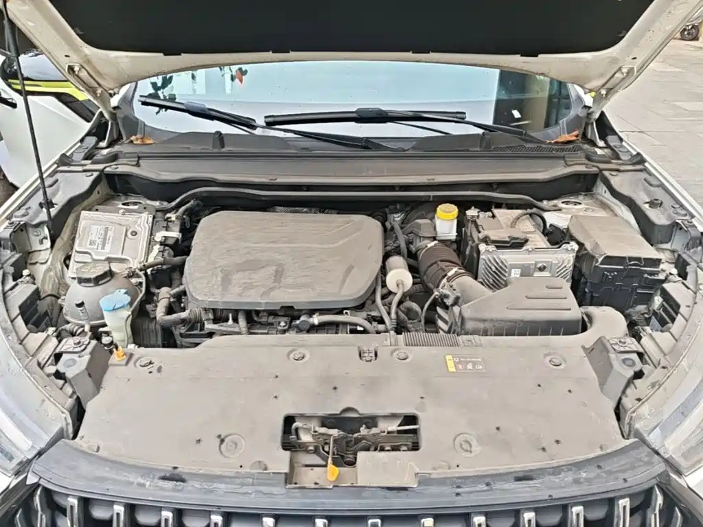 Haval Chitu — миниатюра 20