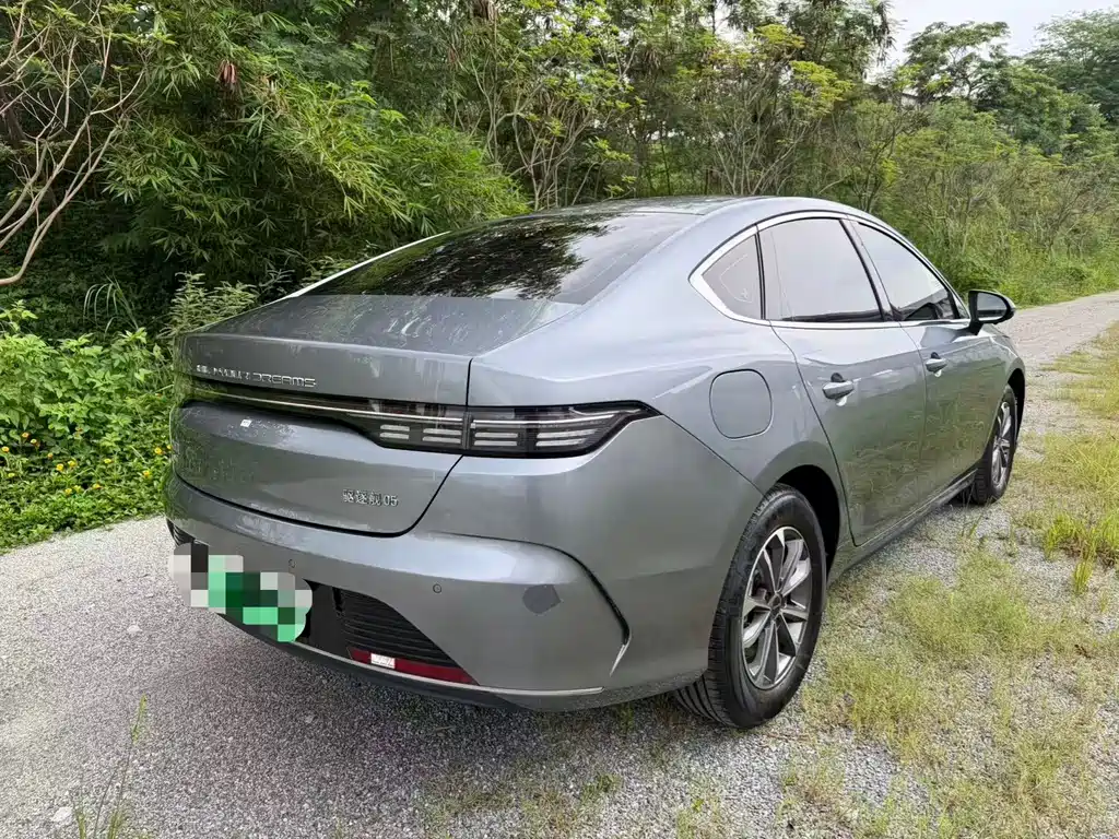 BYD Destroyer 05 2024 DM-i 55KM Luxury