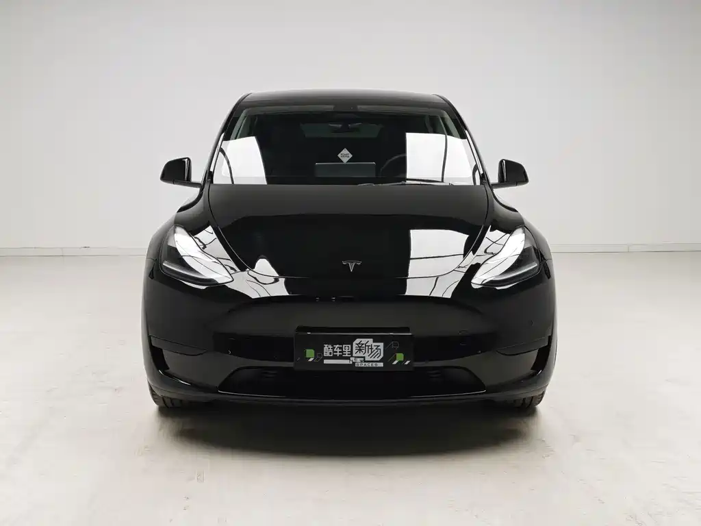 Tesla Model Y — миниатюра 2