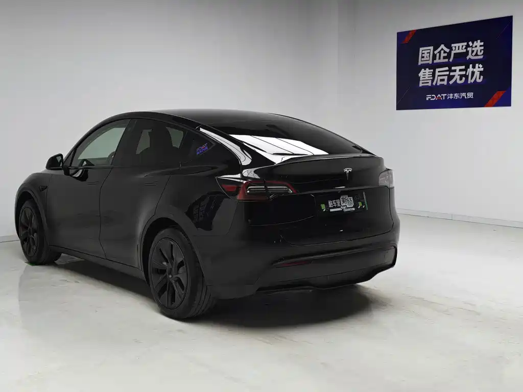 Tesla Model Y — миниатюра 6