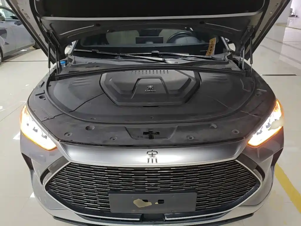 BYD PLUS New Energy — миниатюра 20