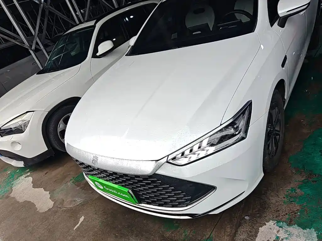 BYD Qin Plus PLUS 2024 DM-i 55KM Lead