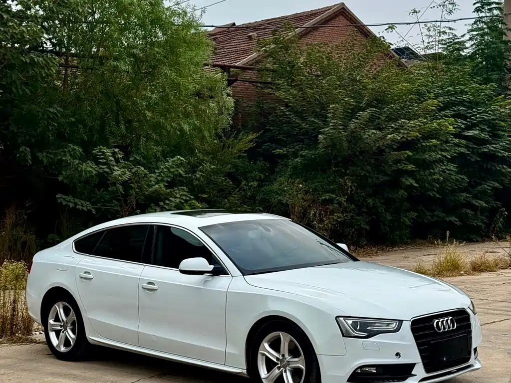 Audi A5 (Import) — миниатюра 10