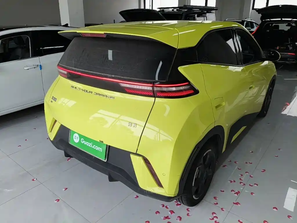 BYD Seagull 2023 Flying