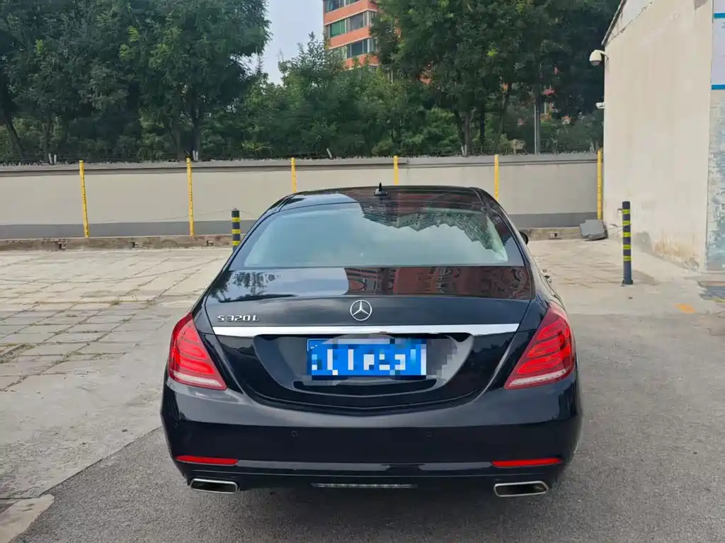 Mercedes-Benz S-Class S 320 L Business Type, фото 10