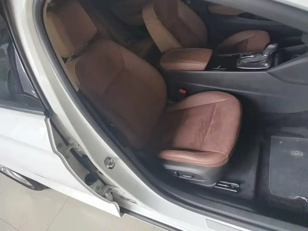 Buick Regal — миниатюра 25