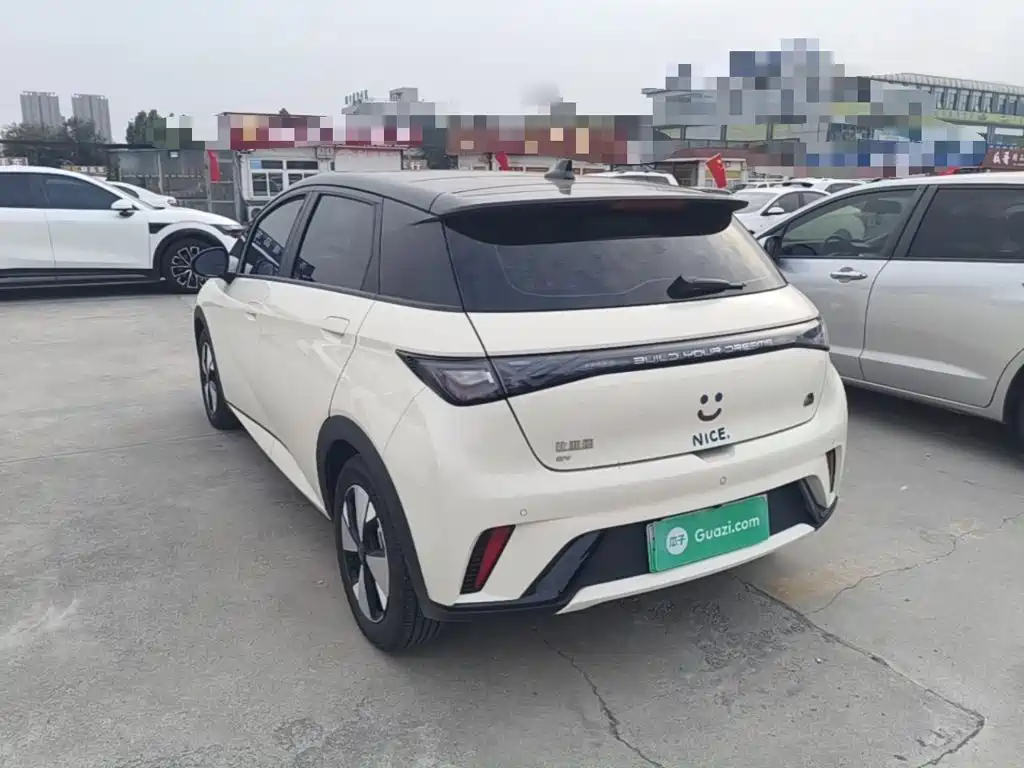 BYD Dolphin — миниатюра 5