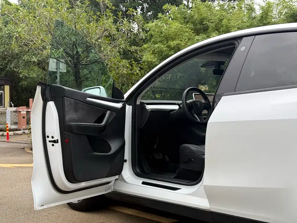 Tesla Model Y — миниатюра 9
