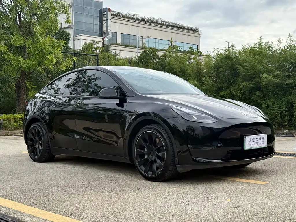 Tesla Model Y — миниатюра 3