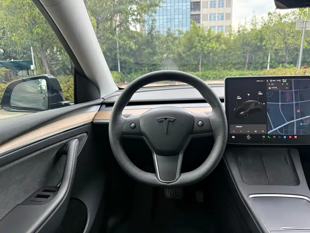 Tesla Model Y — миниатюра 5