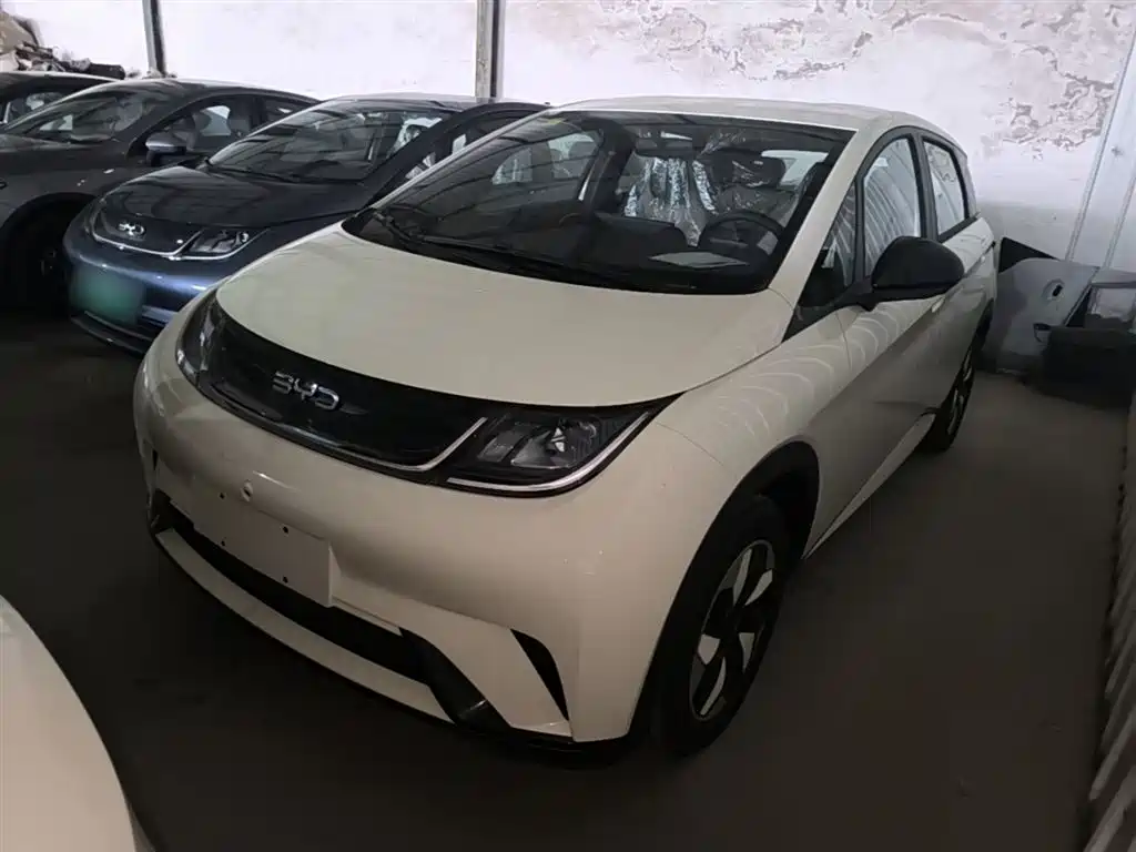 BYD Dolphin 2025 420km Freedom