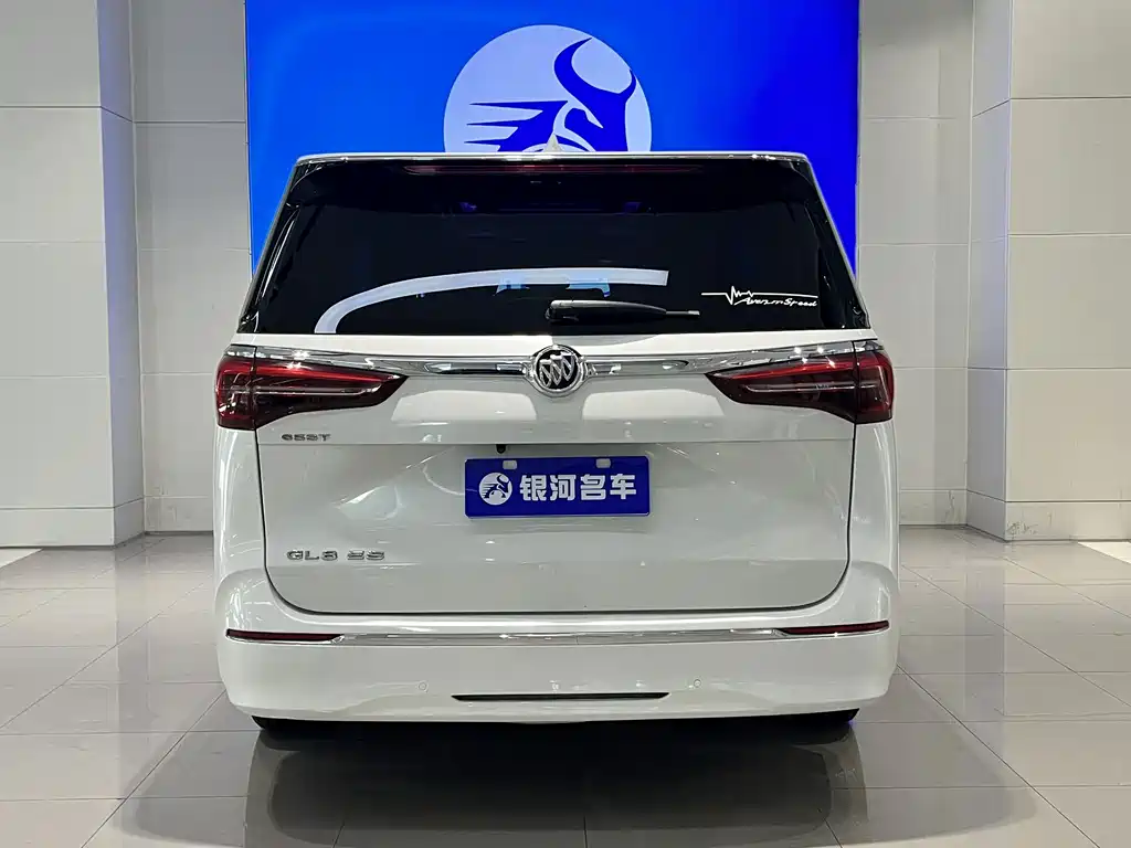 Buick GL8 — миниатюра 15