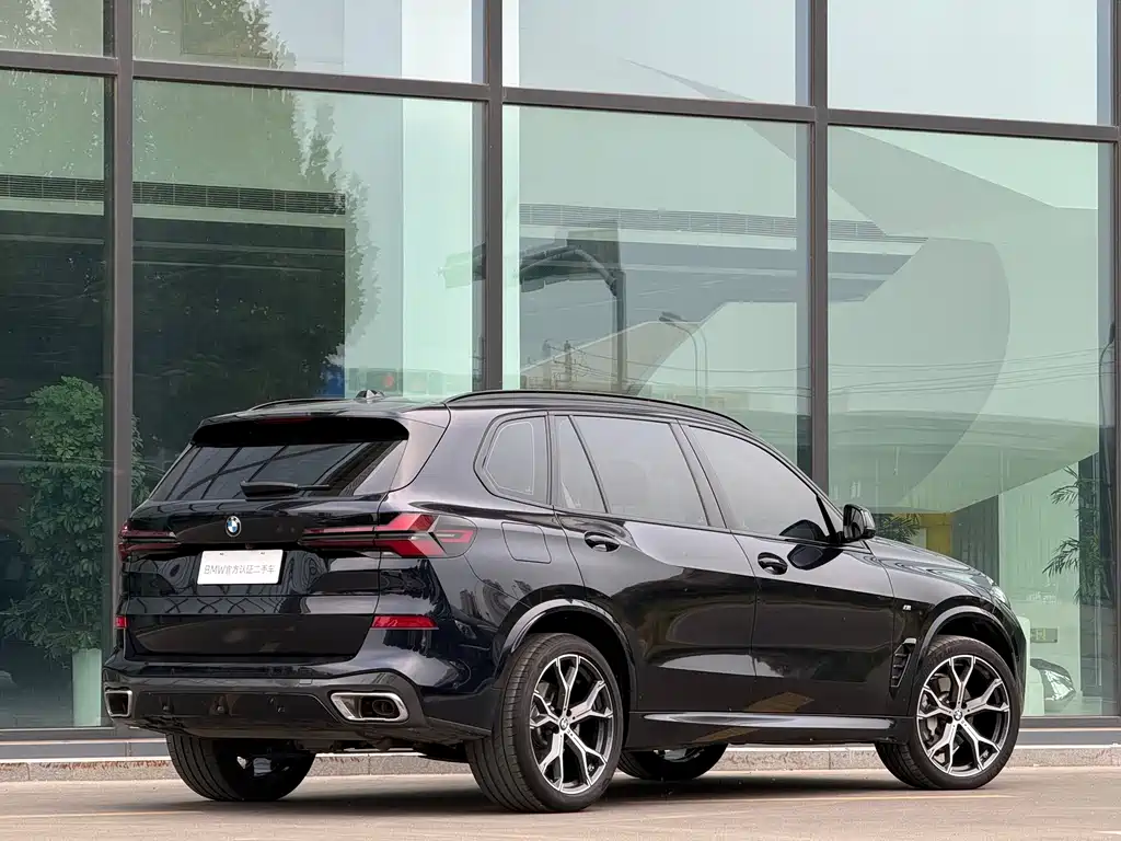 BMW X5 — миниатюра 25