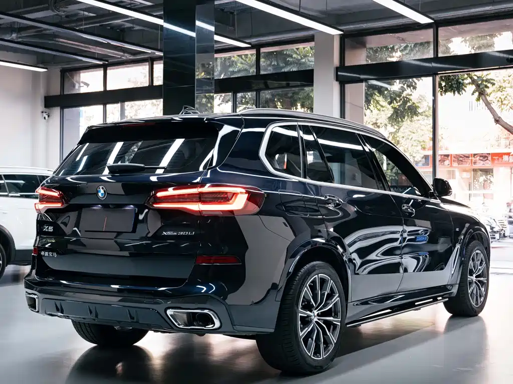 BMW X5 — миниатюра 3
