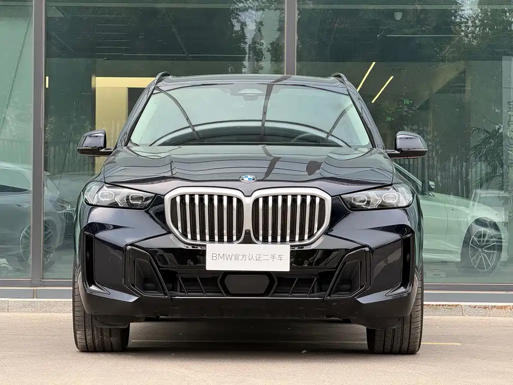 BMW X5 — миниатюра 19