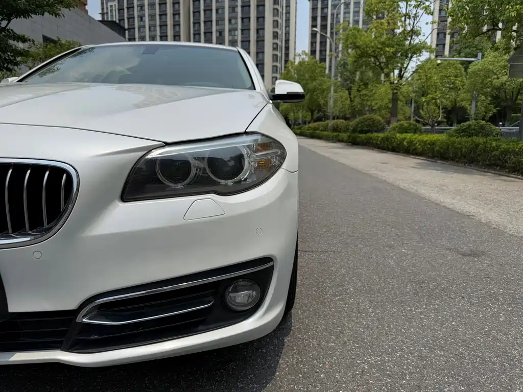 BMW 5 Series 5 2017 525Li Luxury