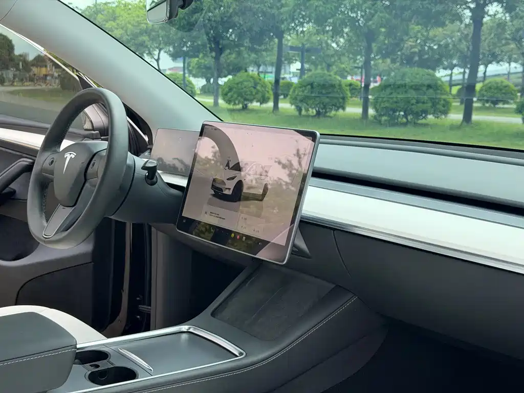 Tesla Model Y — миниатюра 17