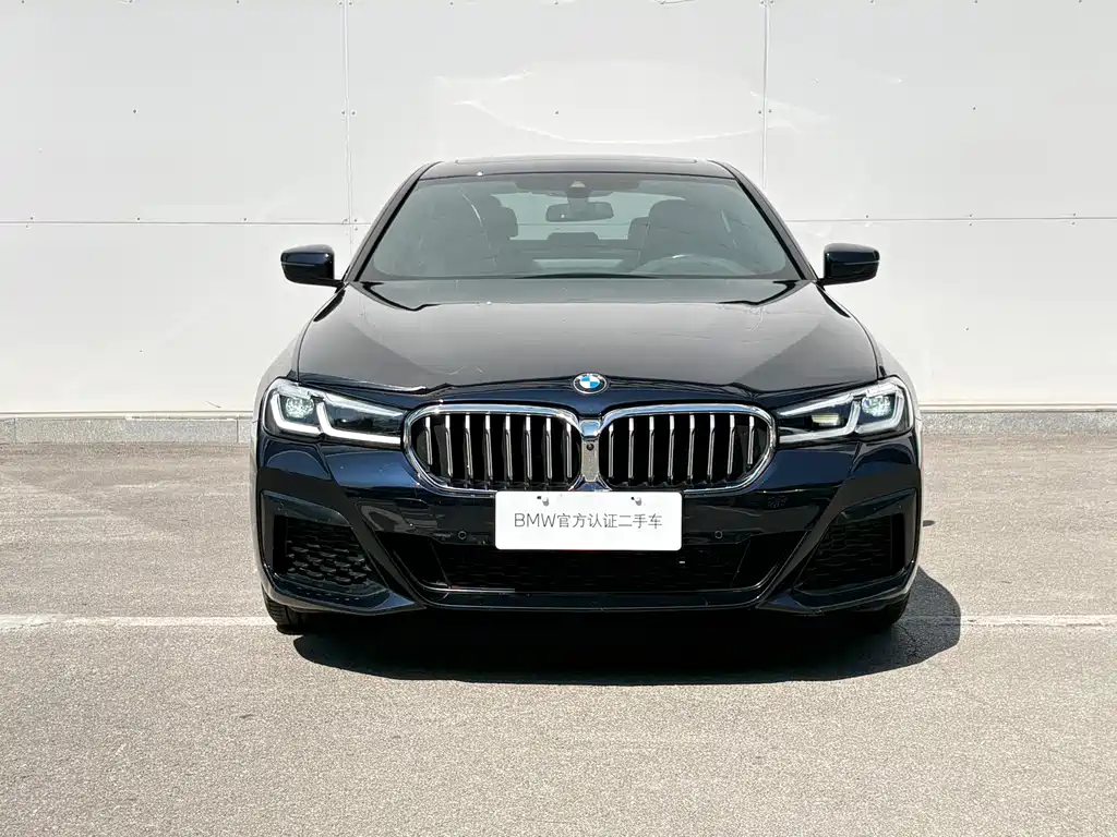 BMW 5 Series (Import) — миниатюра 2