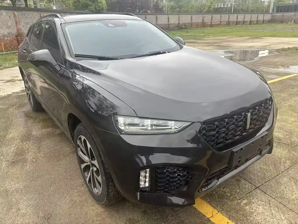 Wey Wey VV7 2019