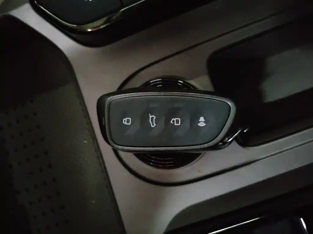 Haval Big Dog PLUS New Energy — миниатюра 9