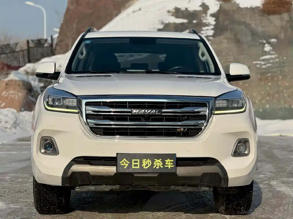 HAVAL H9