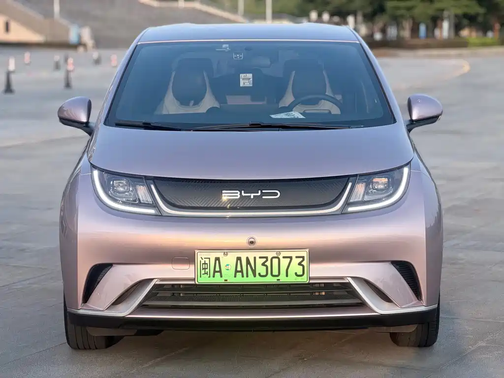 BYD Dolphin — миниатюра 2