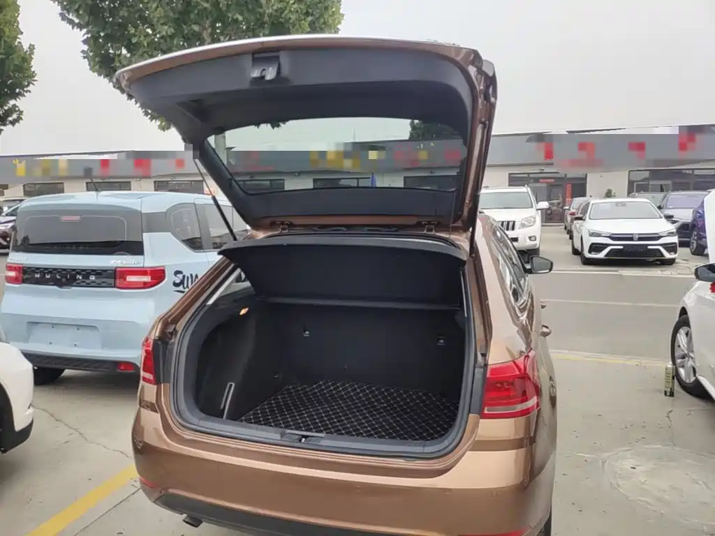 Volkswagen Gran Lavida — миниатюра 19