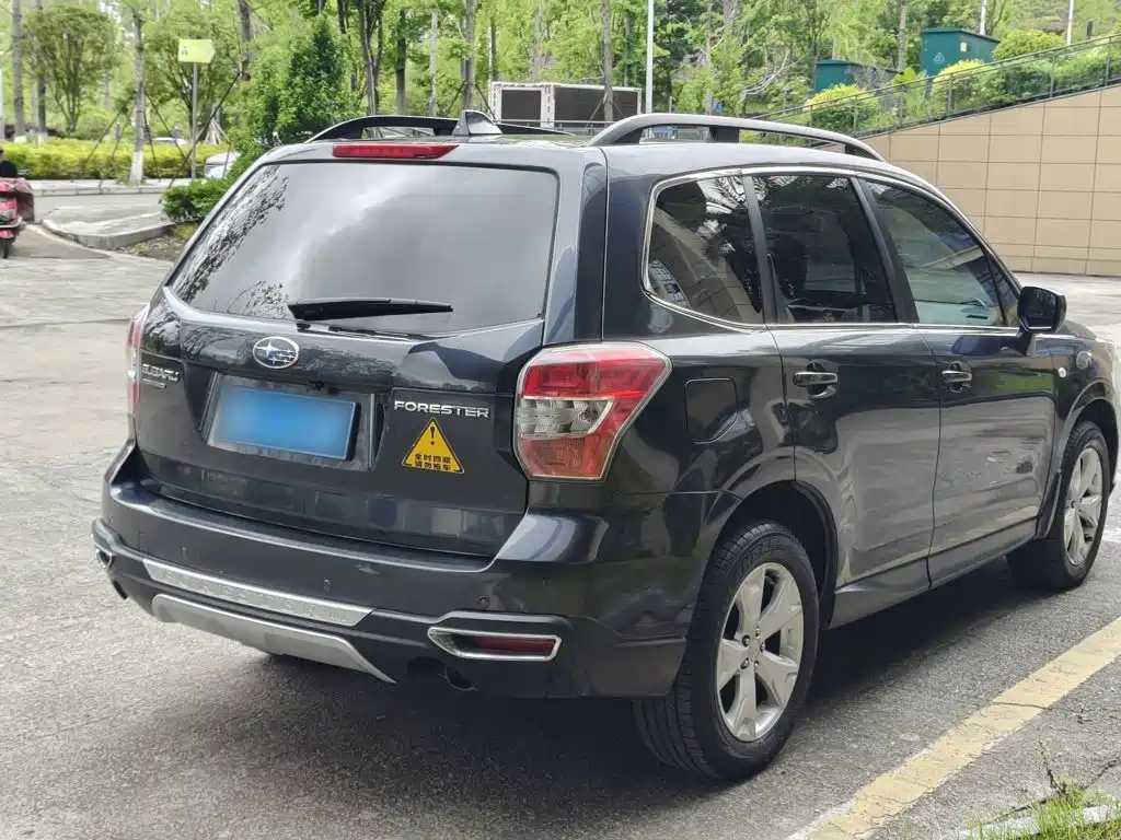 Subaru Forester — миниатюра 11