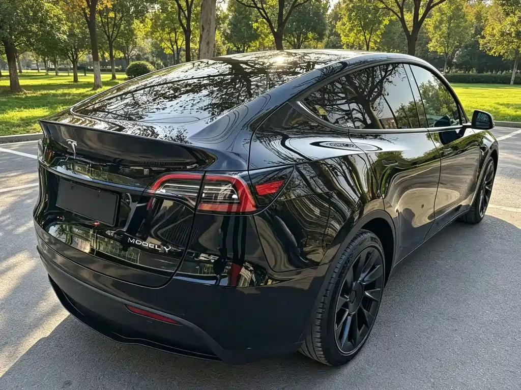 Tesla Model Y — миниатюра 6