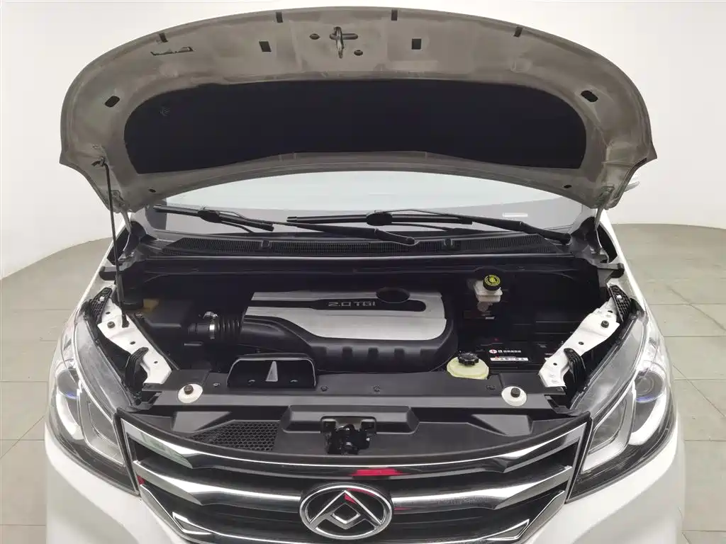 SAIC MAXUS CHASE G10