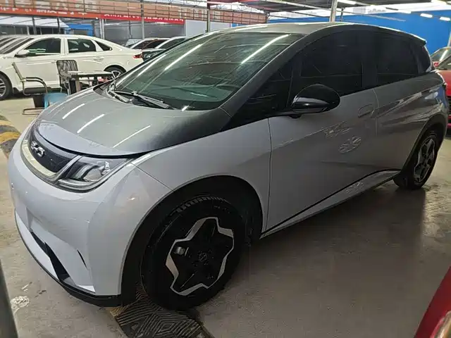2022 BYD Dolphin