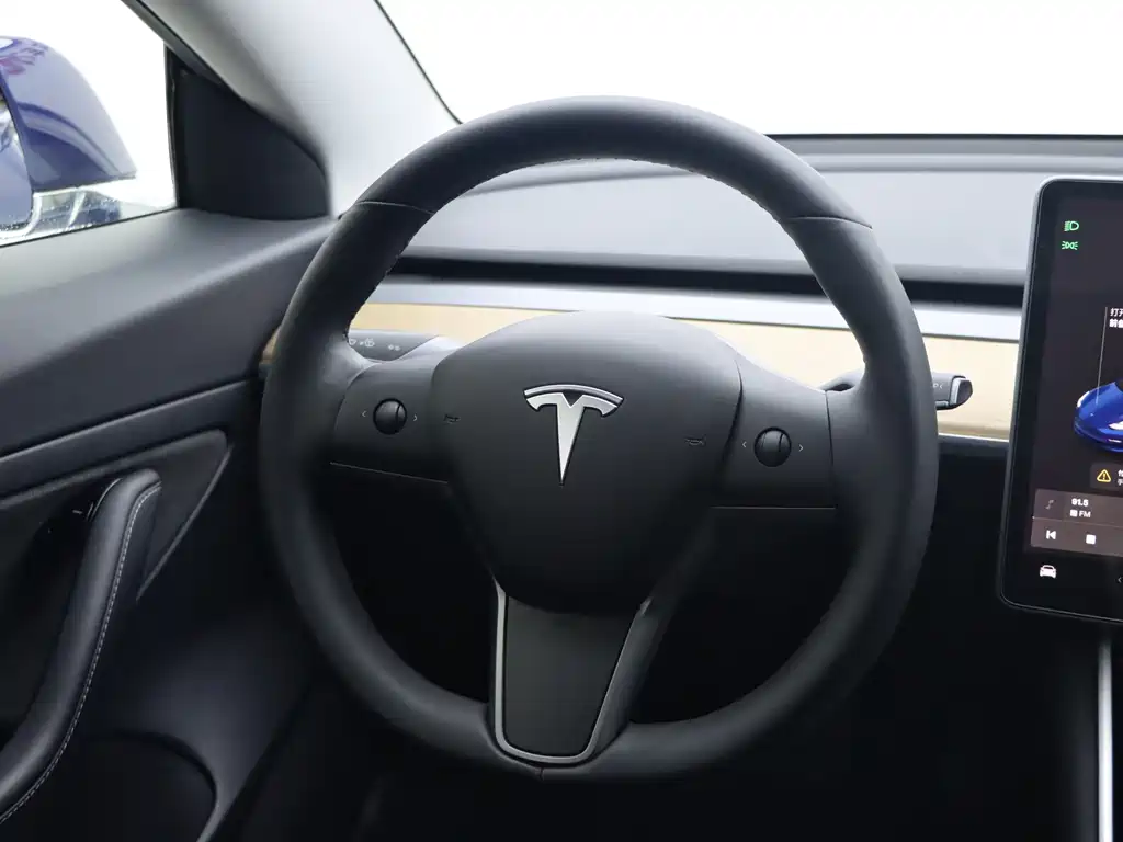 Tesla Model 3 — миниатюра 15