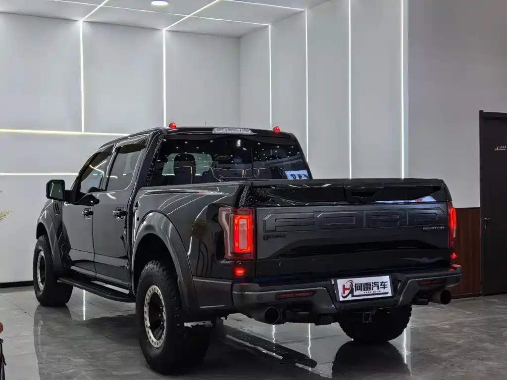 Ford F-150 Raptor - фото 9