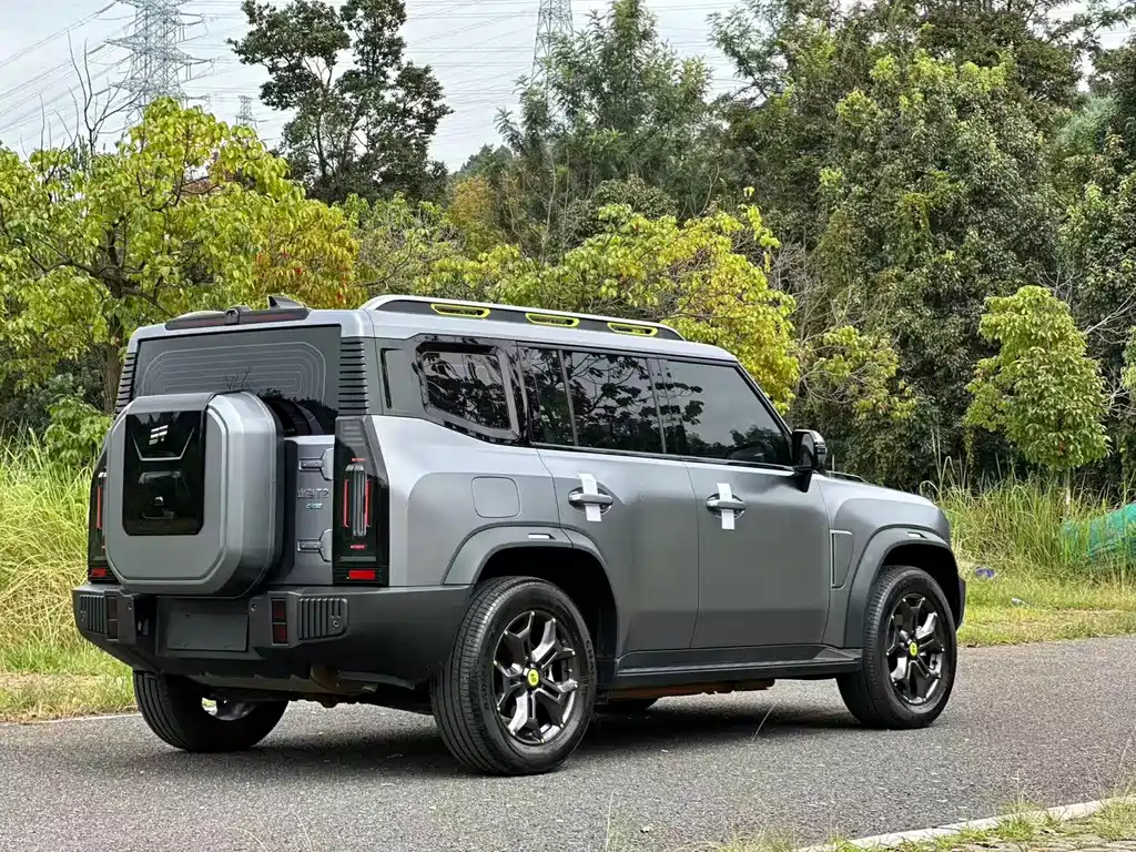 Shanhai Traveller C-DM — миниатюра 6