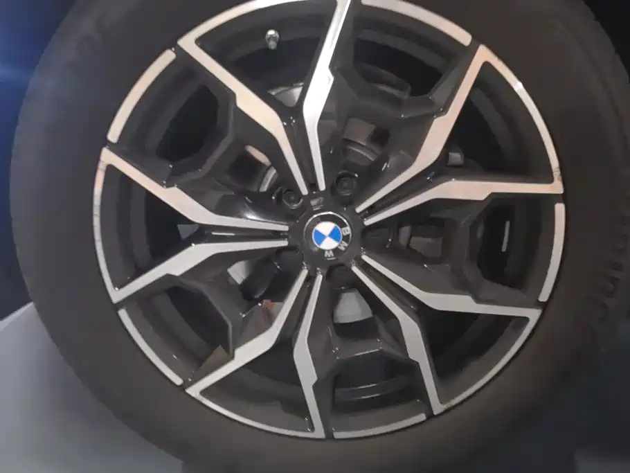 BMW X3 — миниатюра 6