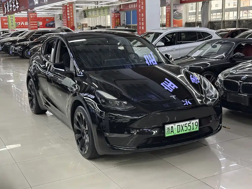 Tesla Model Y — миниатюра 3