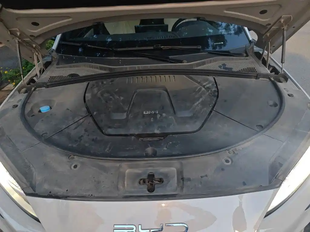 BYD PLUS New Energy — миниатюра 11