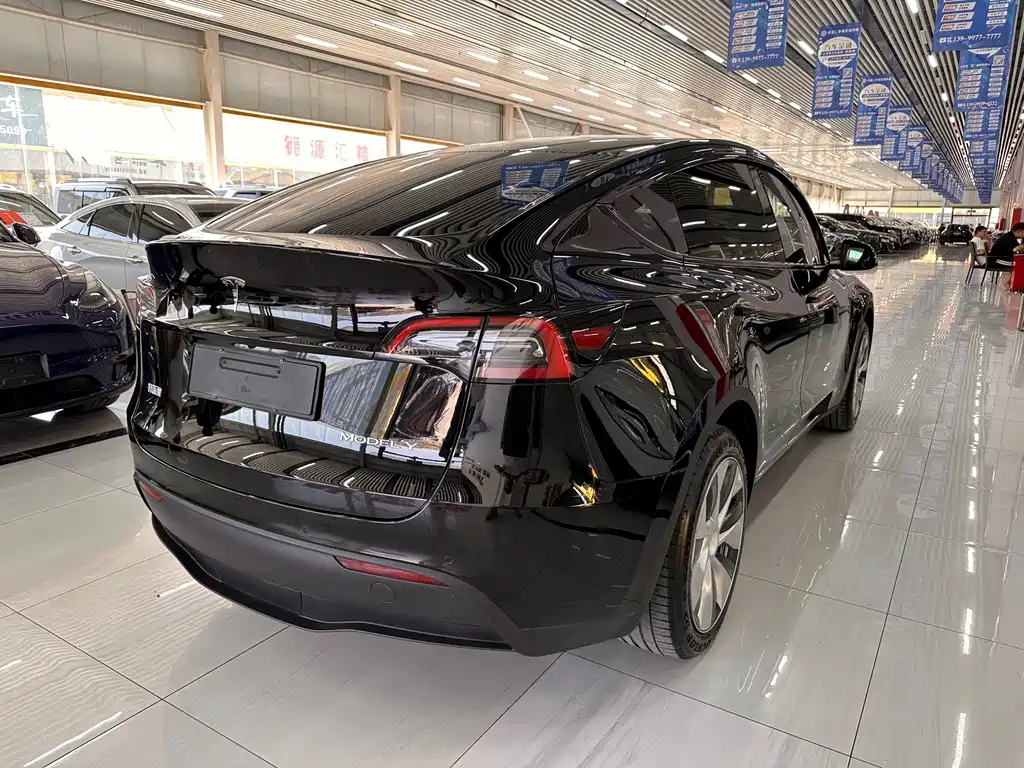 Tesla Model Y — миниатюра 6