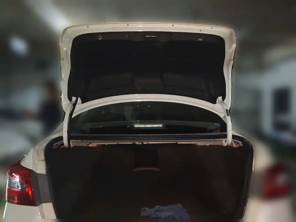 Nissan Sylphy — миниатюра 20