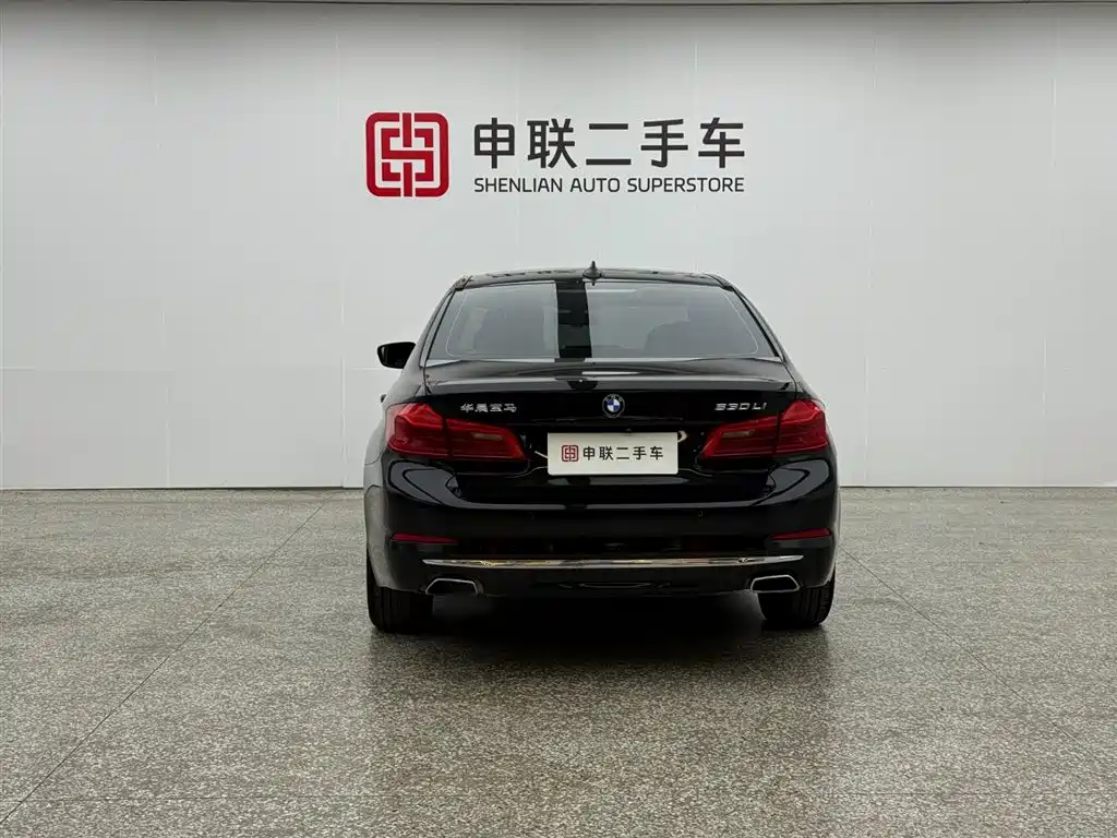 BMW 5 Series 5 2020 530Li Lead Luxury