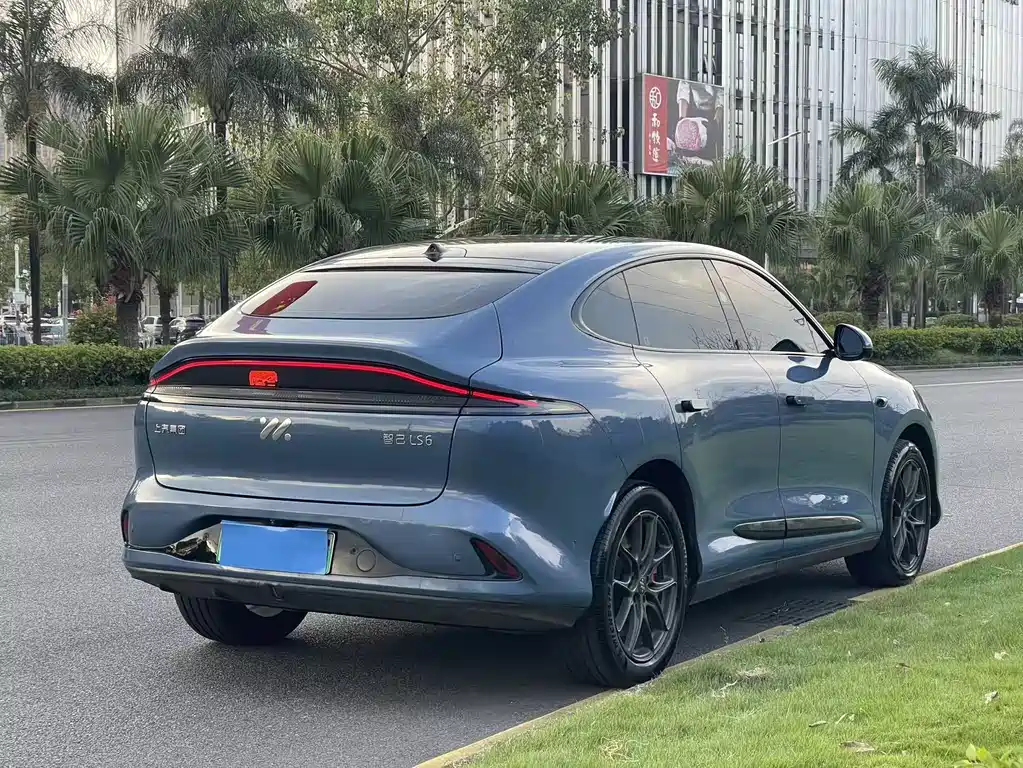 IM IM LS6 — миниатюра 5