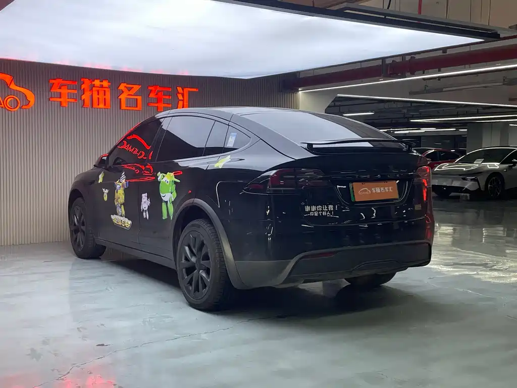 Tesla Model X — миниатюра 17