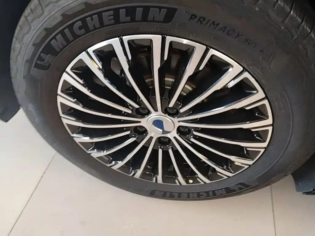 Denza Denza D9 — миниатюра 23