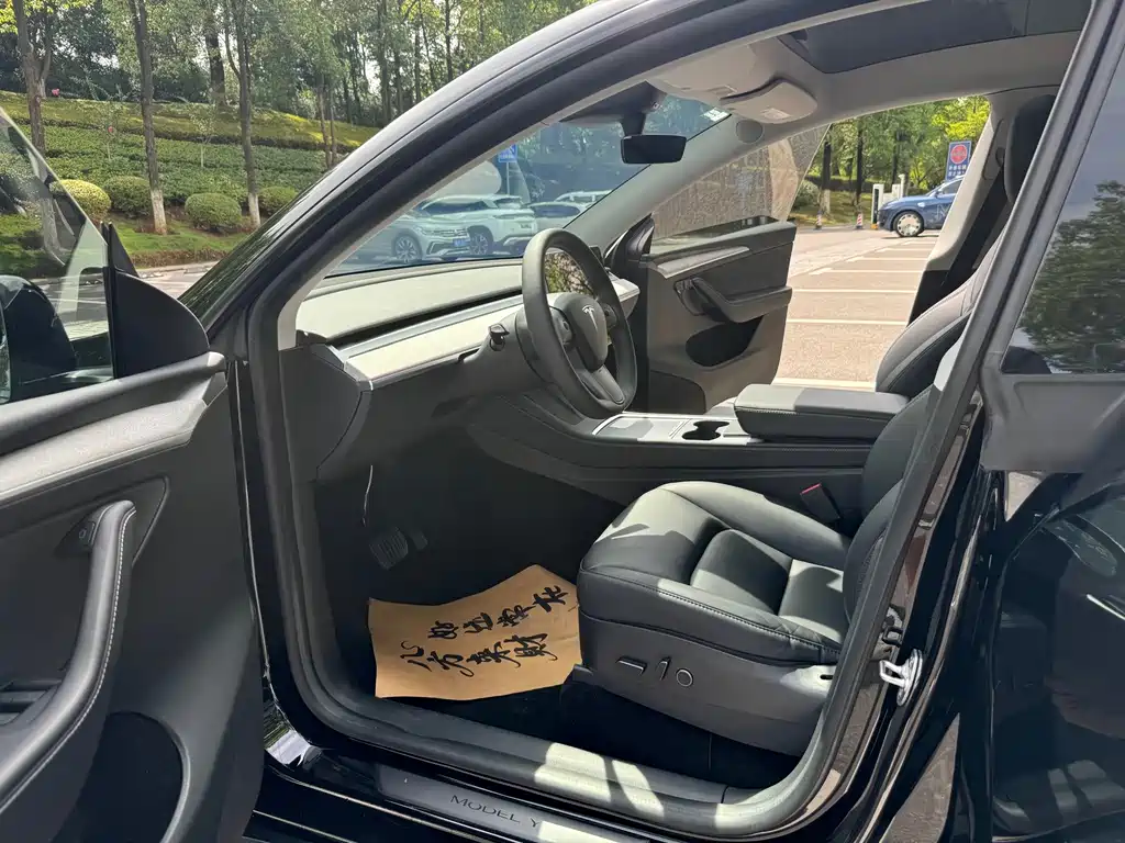 Tesla Model Y — миниатюра 13