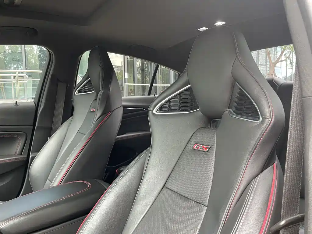 Buick Regal — миниатюра 12