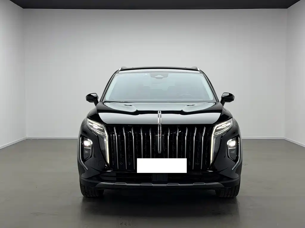 Hongqi HS7 2023 2.0T AT мест