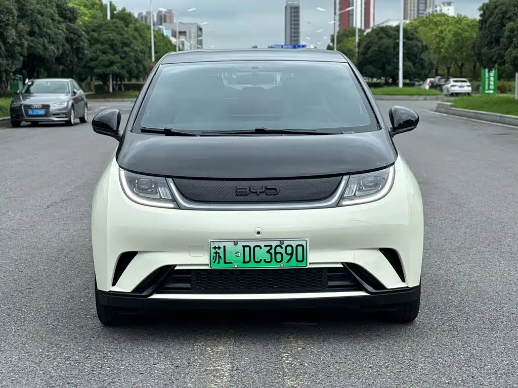 BYD Dolphin — миниатюра 2