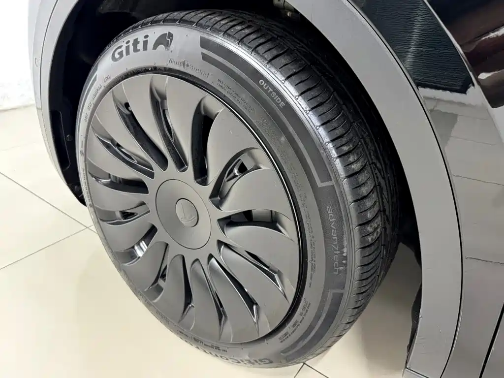Tesla Model Y — миниатюра 21