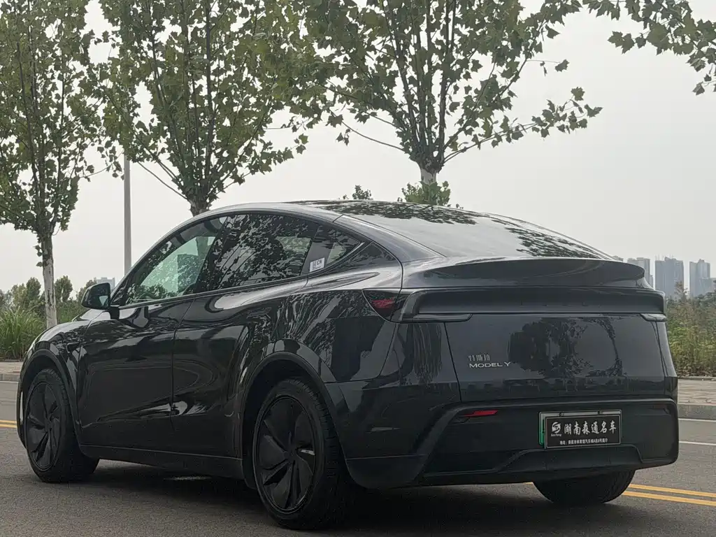 Tesla Model Y — миниатюра 21