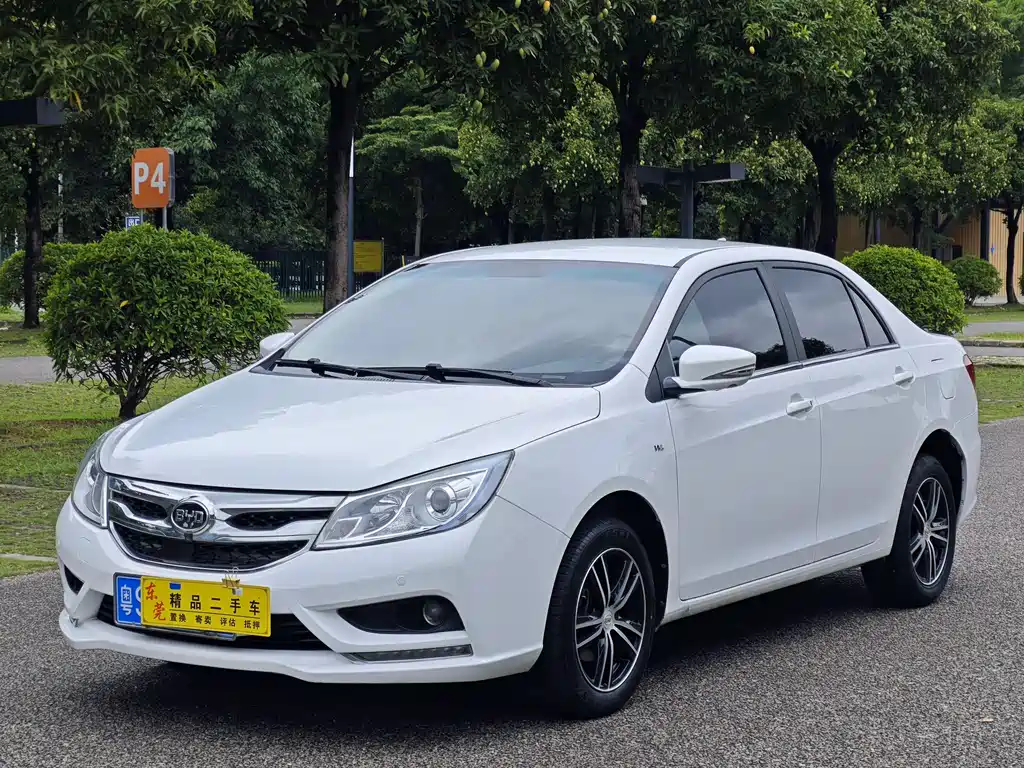 Byd Surui 2018